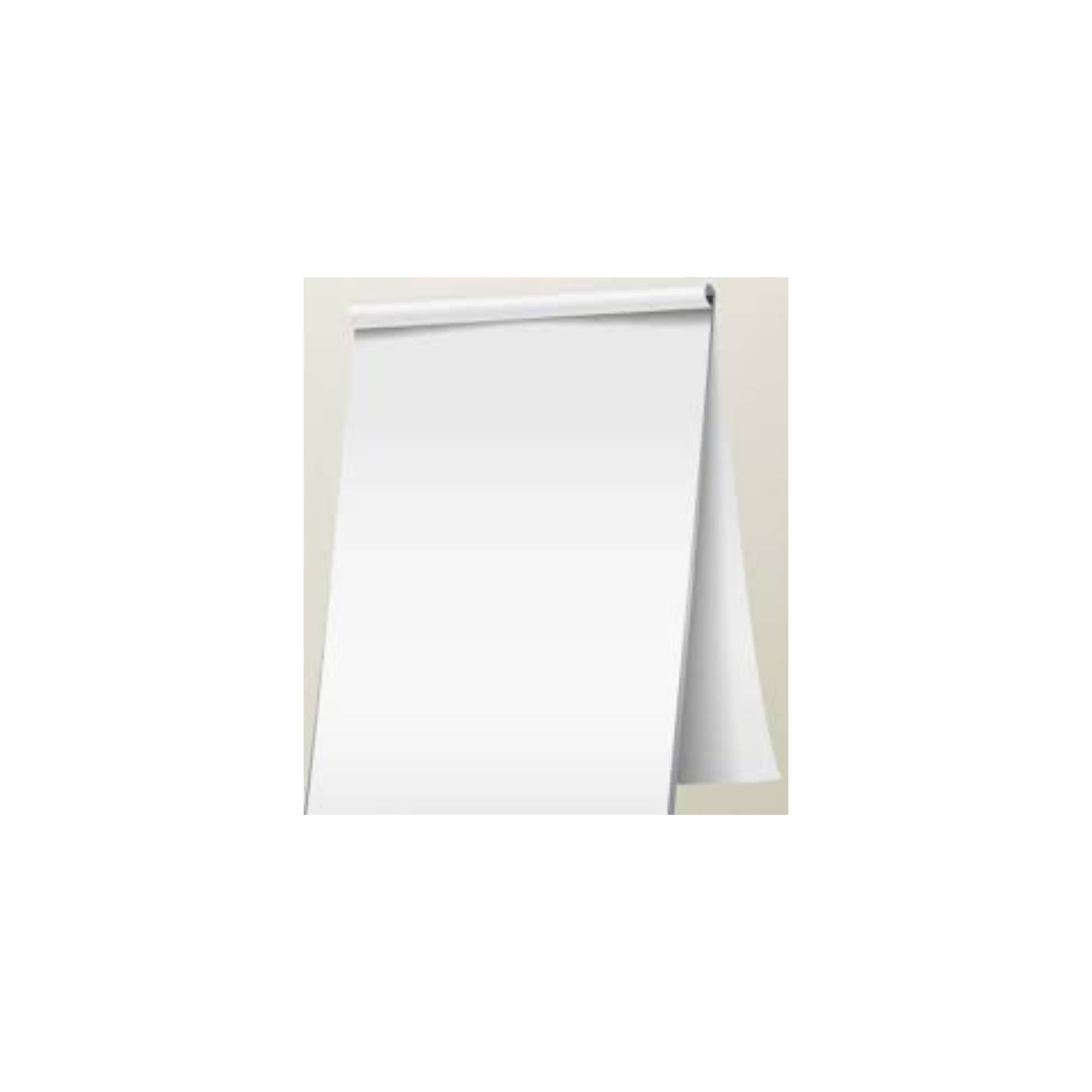 Flip Chart Paper – 30 Sheets, Standard Size Presentation Pad ...
