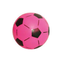 Educational PVC Ball. PVC coated. Comes in various colours and sizes.
